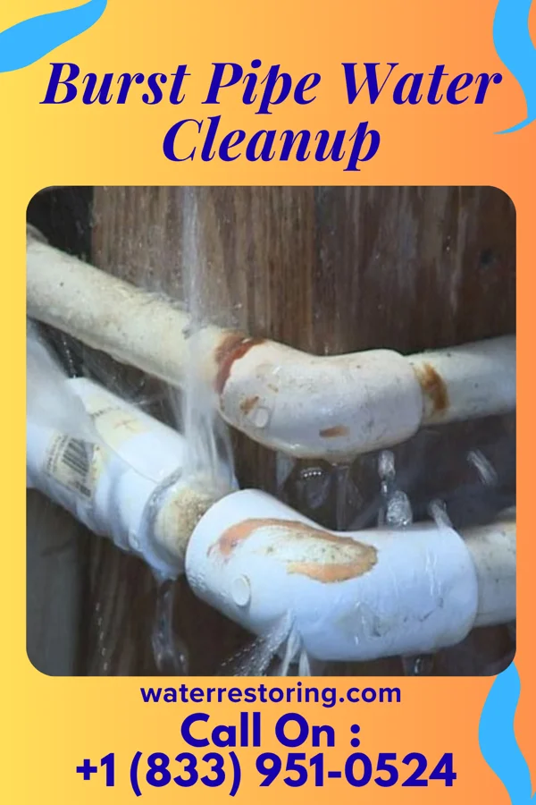 Burst Pipe Water Cleanup in Watkins Glen, NY
