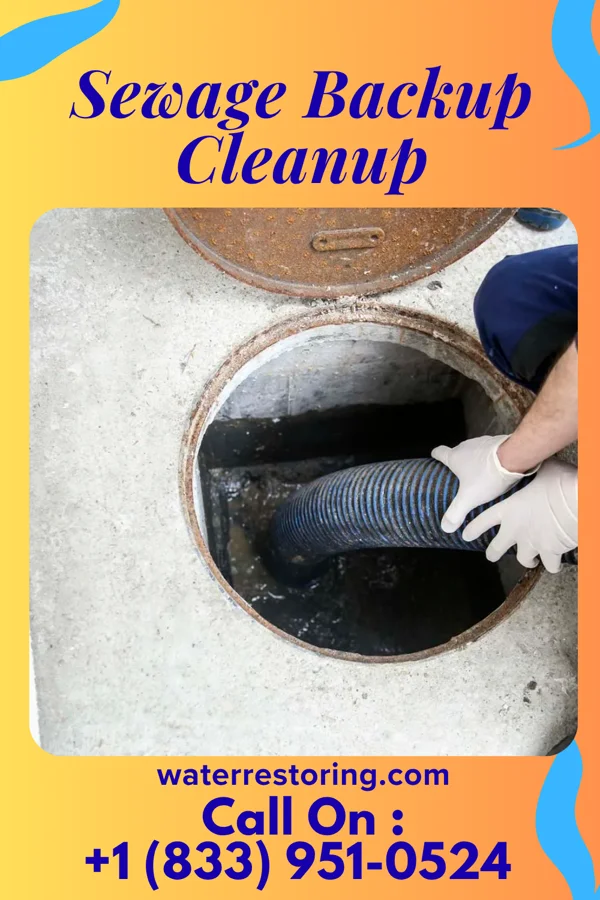 Sewage Backup Cleanup in Watkins Glen, NY