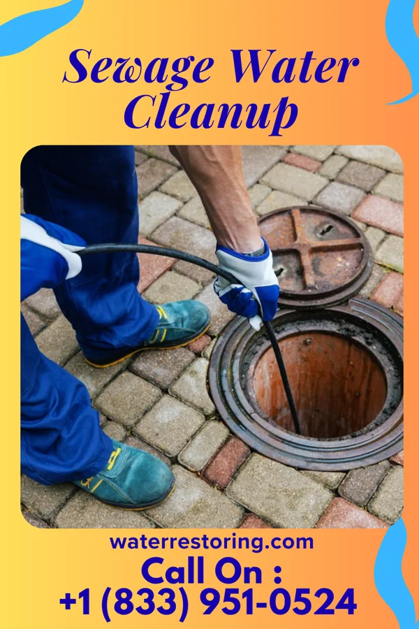 Sewage Water Cleanup in Watkins Glen, NY